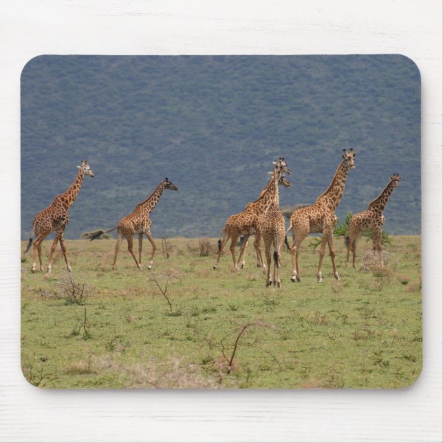Herd of Giraffes Mouse Pad (Front)
