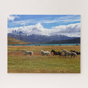 Herd of Horses Galloping puzzle