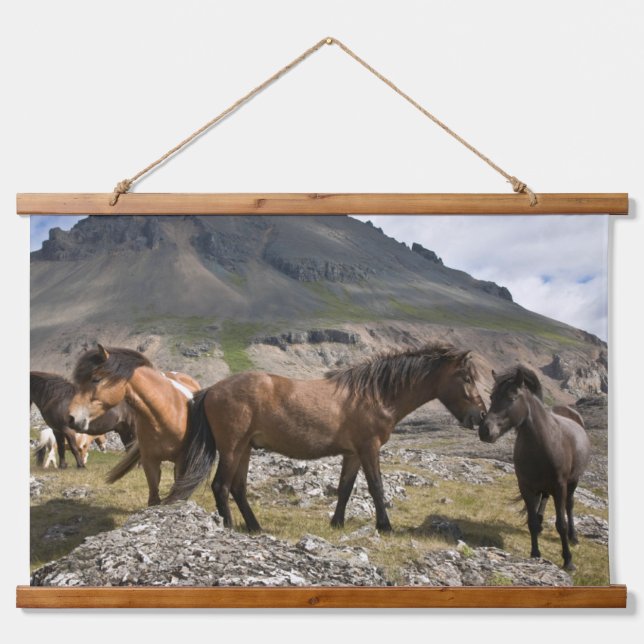 Herd Of Horses, Near Hofn, Iceland Hanging Tapestry (Front)