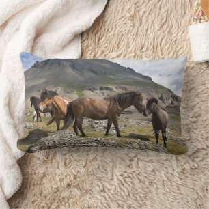 Herd Of Horses, Near Hofn, Iceland Lumbar Cushion