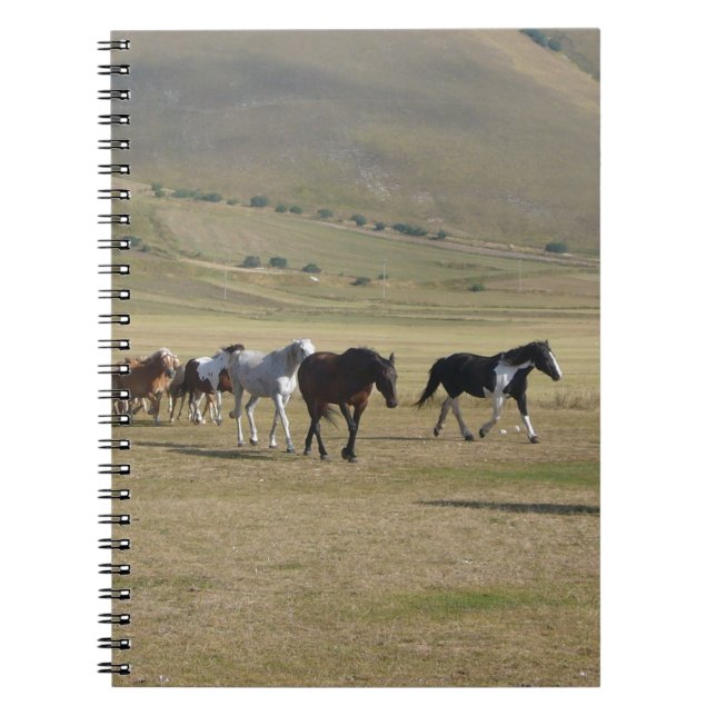 Herd of Horses Notebook (Front)