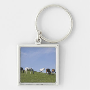 herd of horses on meadow key ring