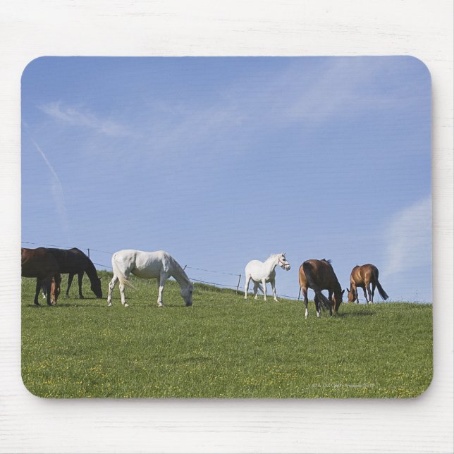 herd of horses on meadow mouse pad (Front)