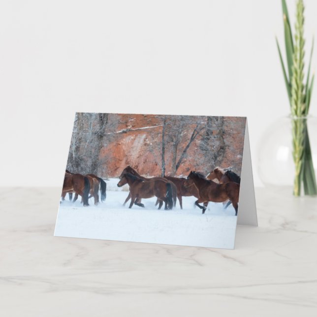 Herd of Horses Running in Snow Card (Front)