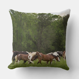 Herd of horses, Tennessee Cushion