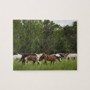 Herd of horses, Tennessee Jigsaw Puzzle