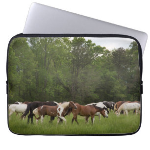 Herd of horses, Tennessee Laptop Sleeve