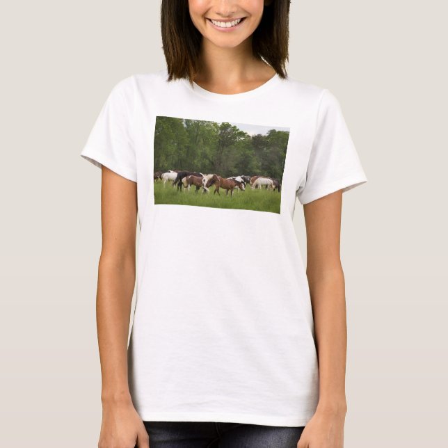 Herd of horses, Tennessee T-Shirt (Front)