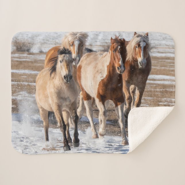 Herd of Mixed Breed Horses Running in the Snow Sherpa Blanket (Front (Horizontal))