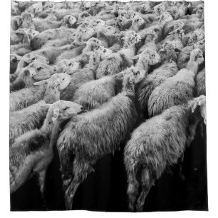HERD OF SHEEP IN GRAYSCALE PHOTO SHOWER CURTAIN