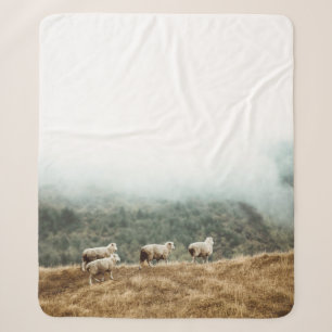 HERD OF SHEEP ON BROWN GRASS FIELD DURING DAYTIME SHERPA BLANKET