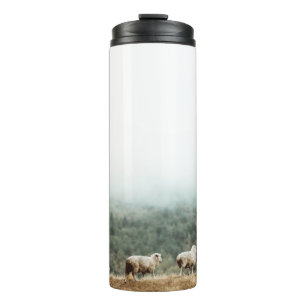 HERD OF SHEEP ON BROWN GRASS FIELD DURING DAYTIME THERMAL TUMBLER
