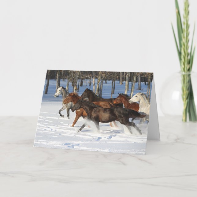 Herd Of Trakehner Horses Running In Snow Card (Front)