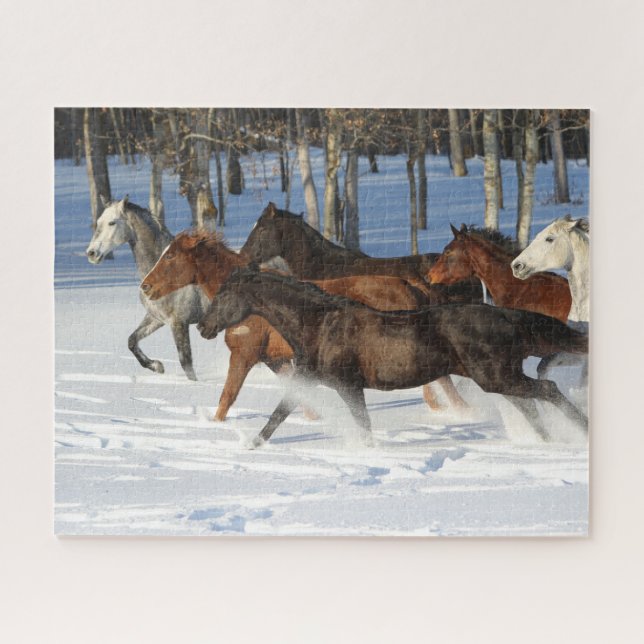 Herd Of Trakehner Horses Running In Snow Jigsaw Puzzle (Horizontal)