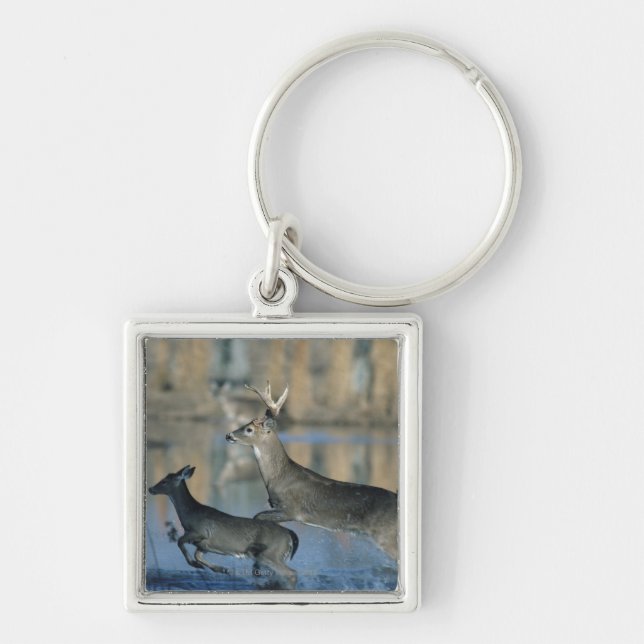 Herd of whitetail deer running through water key ring (Front)