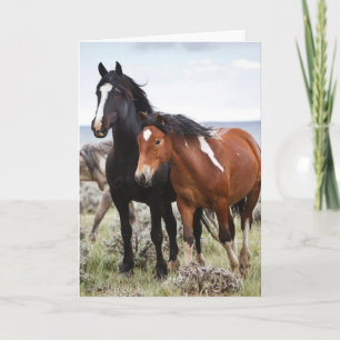 Herd of Wild Horses Card