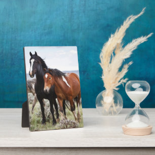 Herd of Wild Horses Plaque