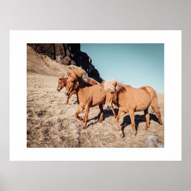 Herd of wild Ponies Poster (Front)