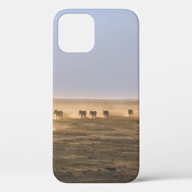 HERD OF ZEBRA ON SAND FIELD Case-Mate iPhone CASE (Back)