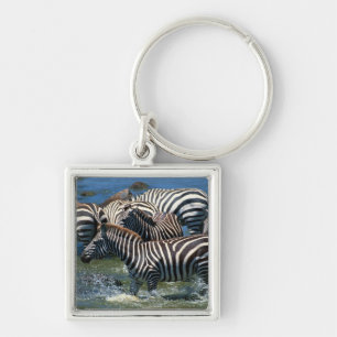 Herd of zebras 2 key ring