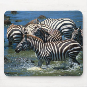 Herd of zebras 2 mouse pad