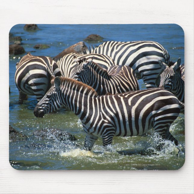 Herd of zebras 2 mouse pad (Front)