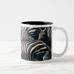 Herd of zebras 2 Two-Tone coffee mug