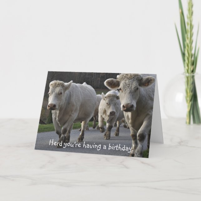 Herd you're having a birthday! card (Front)