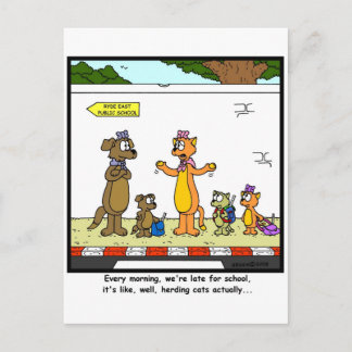 Herding Cats Postcard
