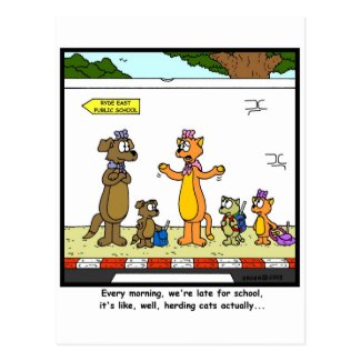 Herding Cats Postcard