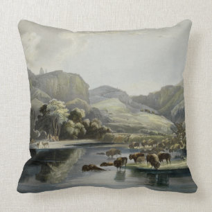 Herds of Bison and Elk on the Upper Missouri, plat Cushion