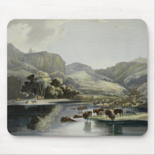 Herds of Bison and Elk on the Upper Missouri, plat Mouse Pad