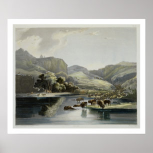 Herds of Bison and Elk on the Upper Missouri, plat Poster