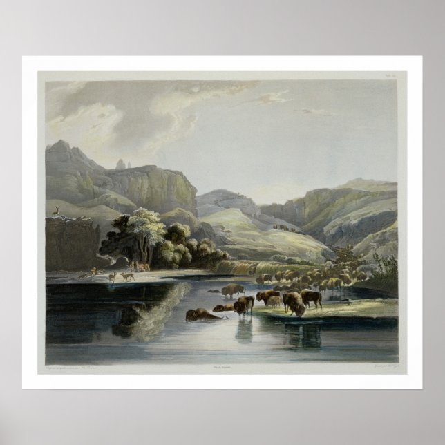 Herds of Bison and Elk on the Upper Missouri, plat Poster (Front)