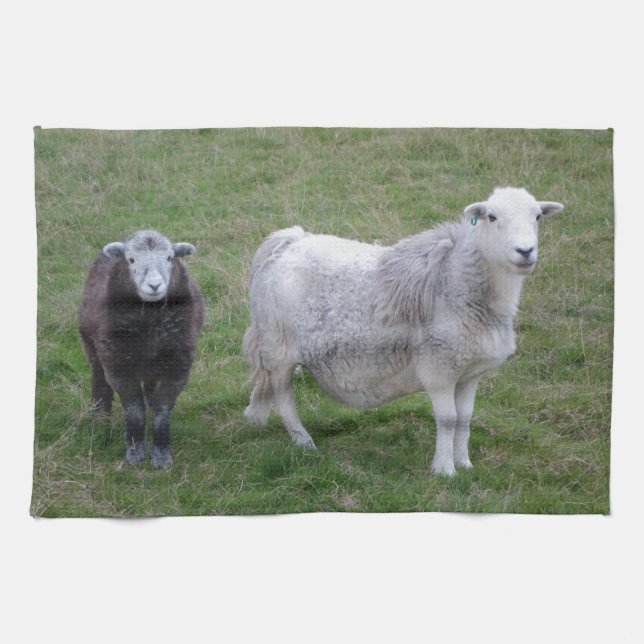 Herdwick Ewe and Lamb Tea Towel (Horizontal)