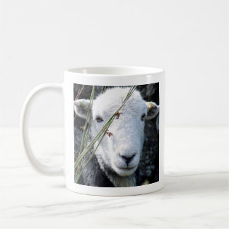 Herdwick ewe mug