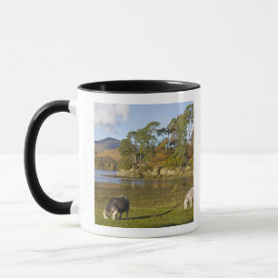 Herdwick sheep at Friars Crag, Derwentwater, 2 Mug