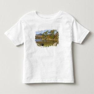 Herdwick sheep at Friars Crag, Derwentwater, 2 Toddler T-Shirt