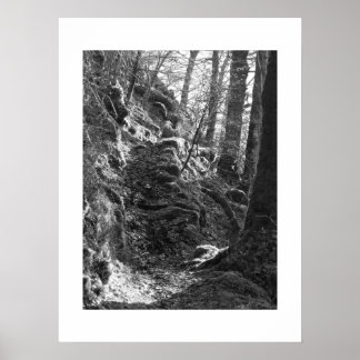 Herdwick Sheep, Cumbria Poster