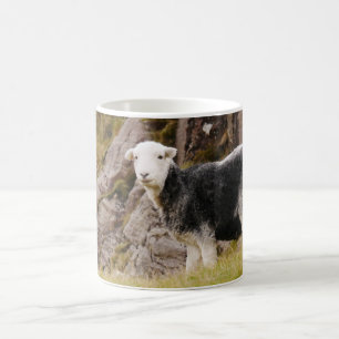 Herdwick Sheep Mug