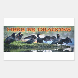 Here Be Dragons Cormorants Rectangular Sticker