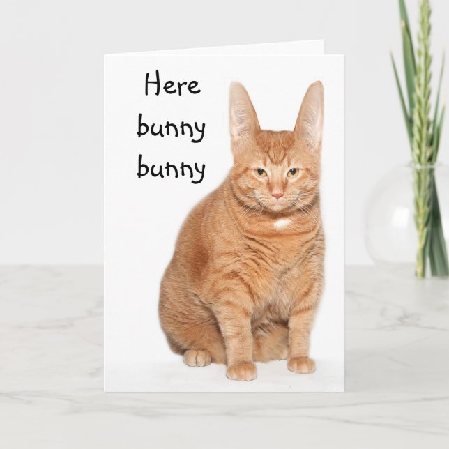 Here bunny bunny holiday card (Front)