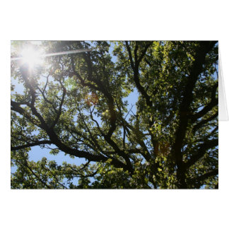 "here comes the sun" by Larry Coressel