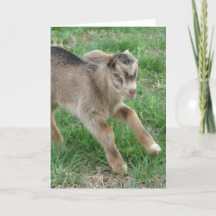 Here Comes Thunder Card