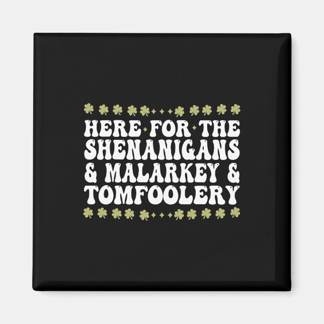Here For The Shenanigans Malarkey And Tomfoolery  Magnet (Front)