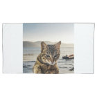 "Here I am" says the Cat