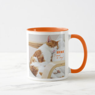 Here I want to stay! - Katzen Foto Kaffeetasse Mug