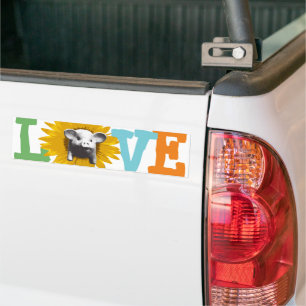 Here is my LOVE by Sunflower Piggy Bumper Sticker