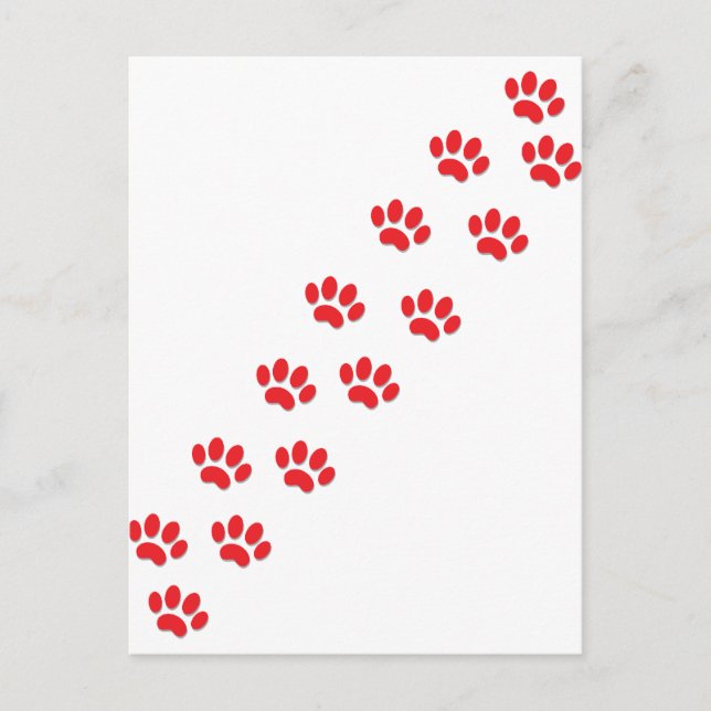 Here Kitty Cat Paws Postcard (Front)