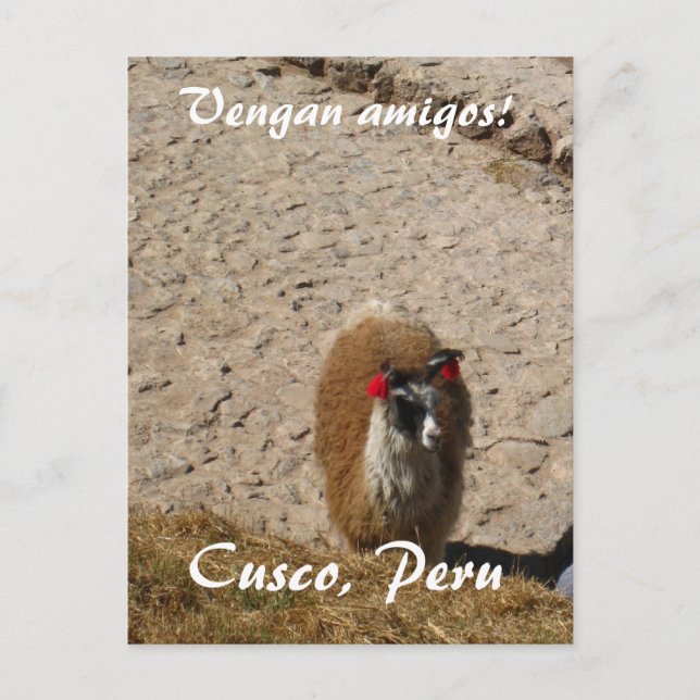 Here llama llama postcard (Front)